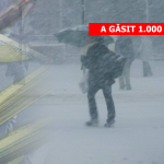 iesean-a-gasit-100-lei-in-zapada