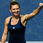 image-2016-10-23-21369724-70-simona-halep.png