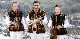 Plugușorul Consiliului Județean