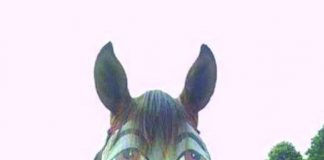 Zăpada trotuarelor şi glodul minţilor