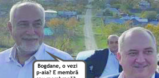 Bun e vinu, nu-i ca berea!