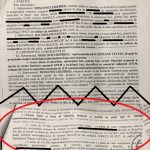 contract rachiteanu 1