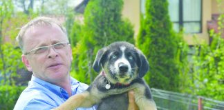 Bomba atomică cu Botez moale