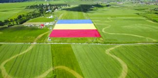 Steaguri, imnuri și parade