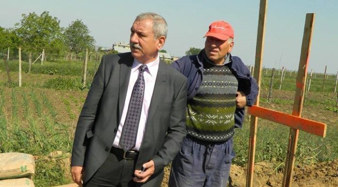 Primarul Niţă are rău de cumpărături