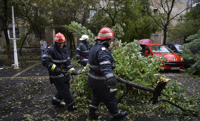 Un copac s-a prabusit peste o masina. Primaria refuza sa deconteze daunele