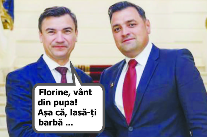 Unde dai și de unde sare iepurele. De după bloc.