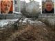 Magnatul de la Construcții Unu le-a luat curtea cu japca. Funcționar din primărie, urmărit penal