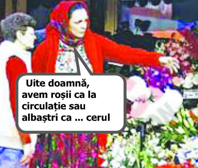Rozele au spini și lasă urme. Și pe asfalt ...