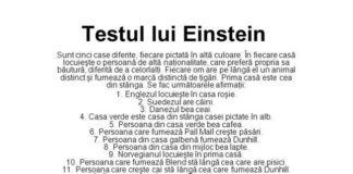 TESTUL de INTELIGENŢĂ al lui Einstein. Doi oameni din 100 îl trec