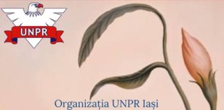Eveniment dedicat femeilor organizat de UNPR Iasi