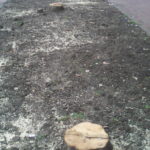 Chirica, drujbar toxic și idiot