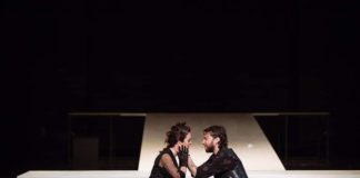 Shakespeare la Piatra Neamț, regizorul ca negociator