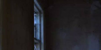 Notre-D(r)ame şi votre hram, sau ” Consternaţie la catedrală „