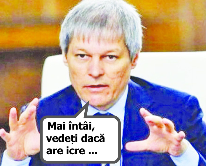 În loc de lehamite