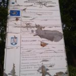 Apavital, gospodari ca din canal