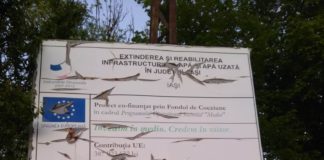 Apavital, gospodari ca din canal