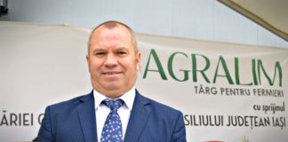 Astenia de primăvară, forma ușoară. În ghips!