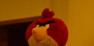 Hopulele în sos de Cașcaval rectorial