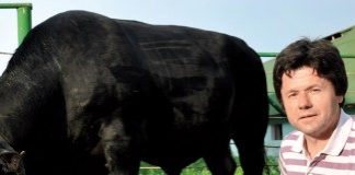 ADS trimite din nou DNA peste afacerea magnatului de la Ropharma