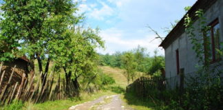 Incredibil! DGA a anchetat o șpagă de 50 de lei. Banii s-au pierdut pe o stradă