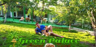 Alin Butnariu, patronul unei pensiuni pentru animale: „Clienții noștri sunt acei oameni care iși consideră animaluțul ca făcând parte din familie”