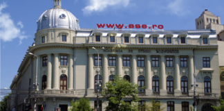 Denis, pericol public! Student ieșean, judecat pentru țeapă la doctorat