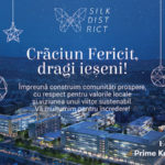 craciun2020_m