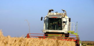 Bancheri elvețieni în război cu Fiscul ieșean pentru o sumă uriașă