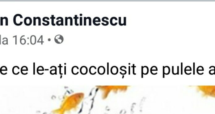 Doctorul Constantinescu dă iar cu pendula-n gard