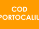 Cod PORTOCALIU de ploi torențiale în 3 județe