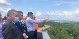 Lovitura ministrului Alexe: pădurea de lângă Iași, tăiată și încărcată în 25.000 de camioane