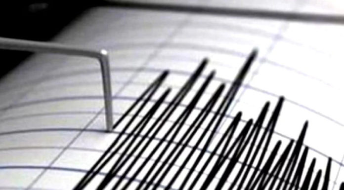 Cutremur puternic în Japonia