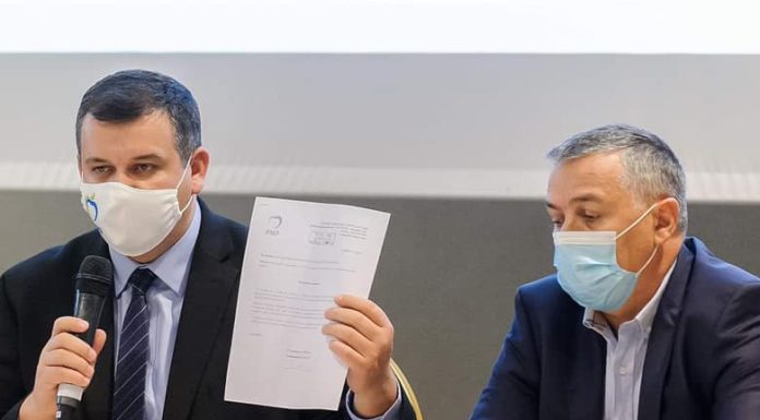 PMP cere adoptarea în regim de urgenţă a legilor privind eliminarea pensiilor speciale şi reducerea numărului de parlamentari la 300