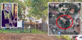 Un preot a tăiat copacii de pe un spațiu verde din centrul Iașului. Fără acte și avize, vrea să ridice o clădire