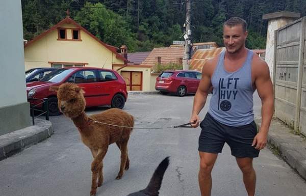 Marian Godină își dezvăluie salariul, după 16 ani în Poliție: atât am încasat în luna ianuarie