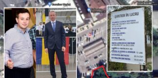 Consecințele semnăturilor lui Harabagiu și Mustiață: Copaci puși la pământ și un spațiu verde ras pentru că au aprobat două blocuri fără parcare