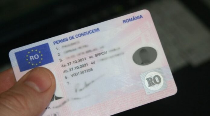 Va fi lege! Permisele auto se vor putea obține online