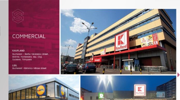 Cum a distrus pandemia Covid-19 o companie care a construit magazine Kaufland, Lidl și Penny în toată țara