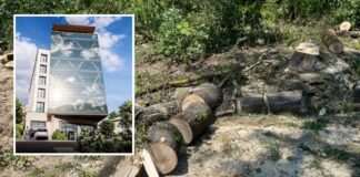 Garda de Mediu: defrișările lui Surdu din Păcurari afectează stabilitatea versantului