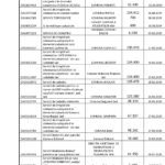 cod unic achizitie-2