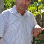 gheorghe curca psd harlau