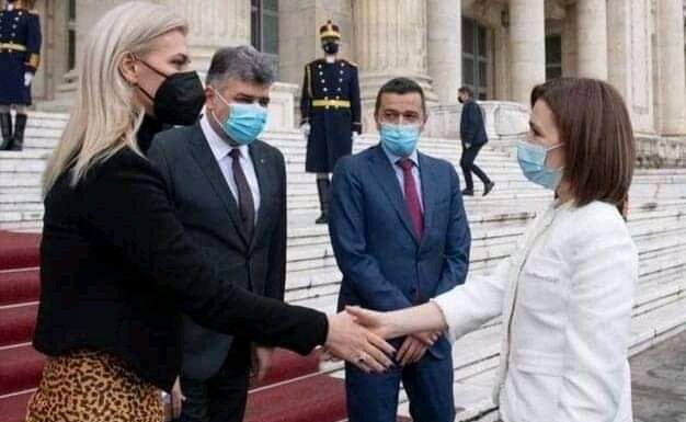 Duamna Gorghiu îi dă cu pedigriu’