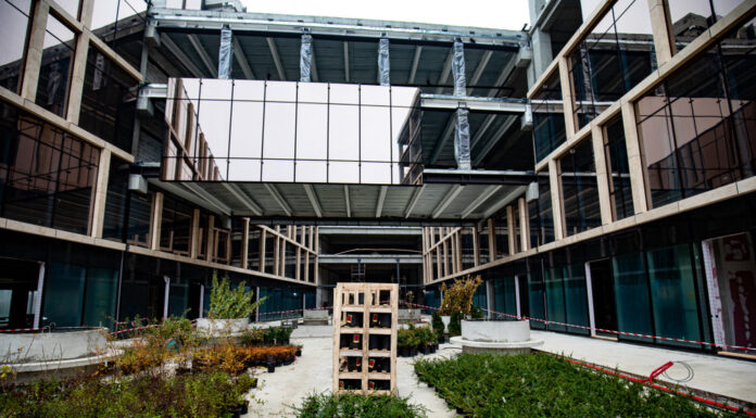 Se amenajează spațiile verzi de la Palas Campus: peste 200 arbori, 7.000 arbuști și o grădină suspendată