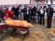 Românii sărbătoresc azi Ignatul, obiceiul tăierii porcilor