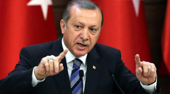 Erdogan îi dă dreptate lui Putin și acuză occidentul: ‘Din nefericire, cerealele din Ucraina merg în ţările bogate, nu în cele sărace’