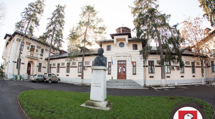 Conexiune întreruptă: interzis la contracte cu statul pentru o firmă abonată la bani publici