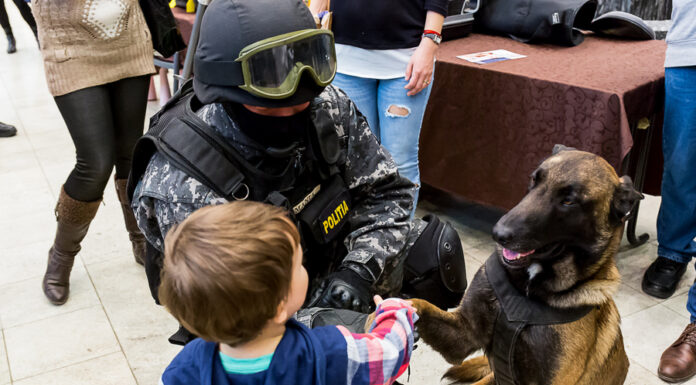 Weekend plin la Palas: panou mobil de cățărat, dresaj canin, prezentări de tehnică criminalistică și târg de antichități