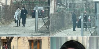 EXCLUSIV! Cumătra lui Chirica, pusă sub acuzare de DNA în Dosarul Plugaru. Polițiția Locală, mână în mână cu dezvoltatorii