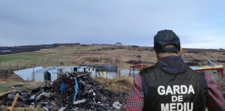 Dosar penal pentru dezastrul ecologic de la Miroslava. Primăria a transformat un câmp într-o groapă ilegală de gunoi